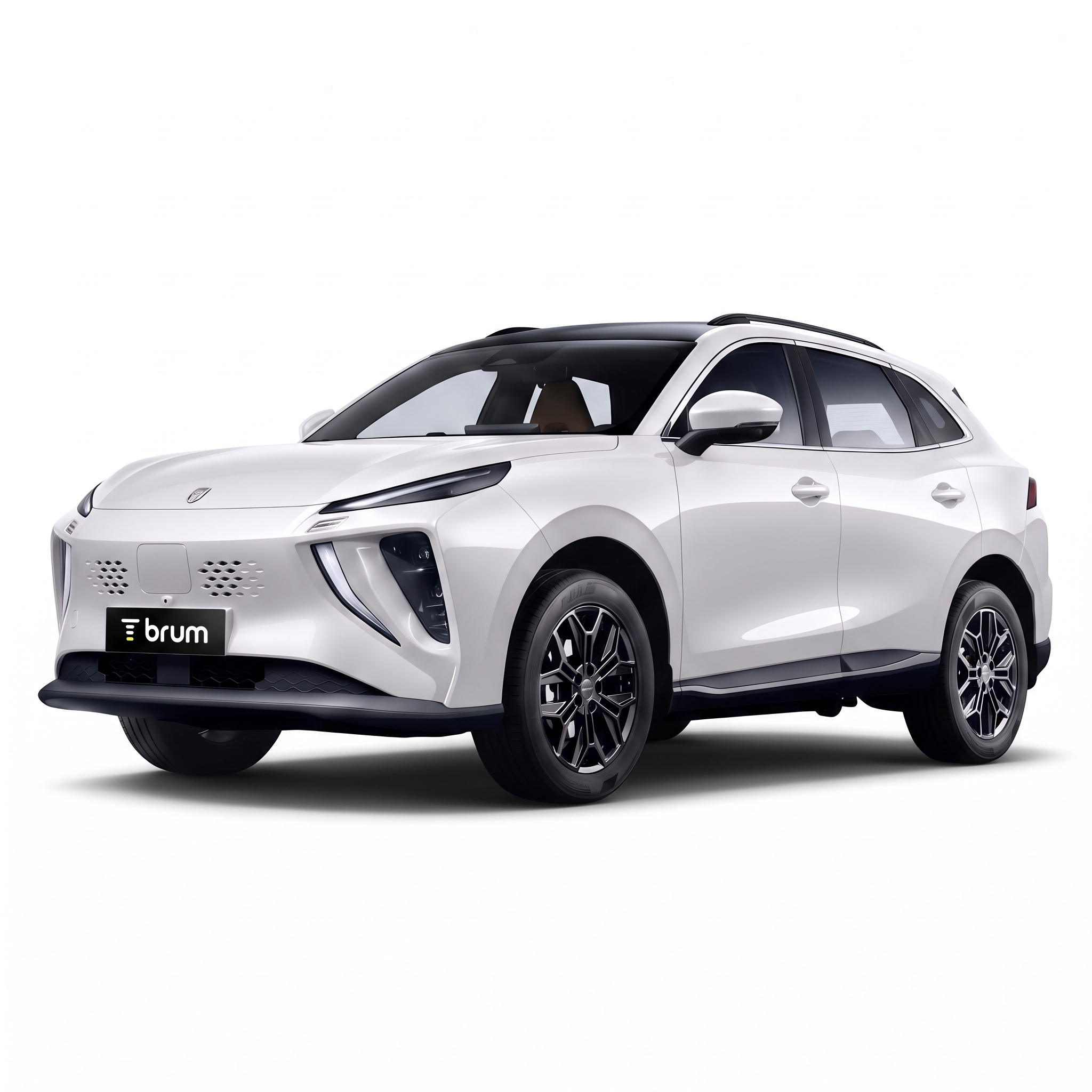 Forthing Friday REEV Luxury